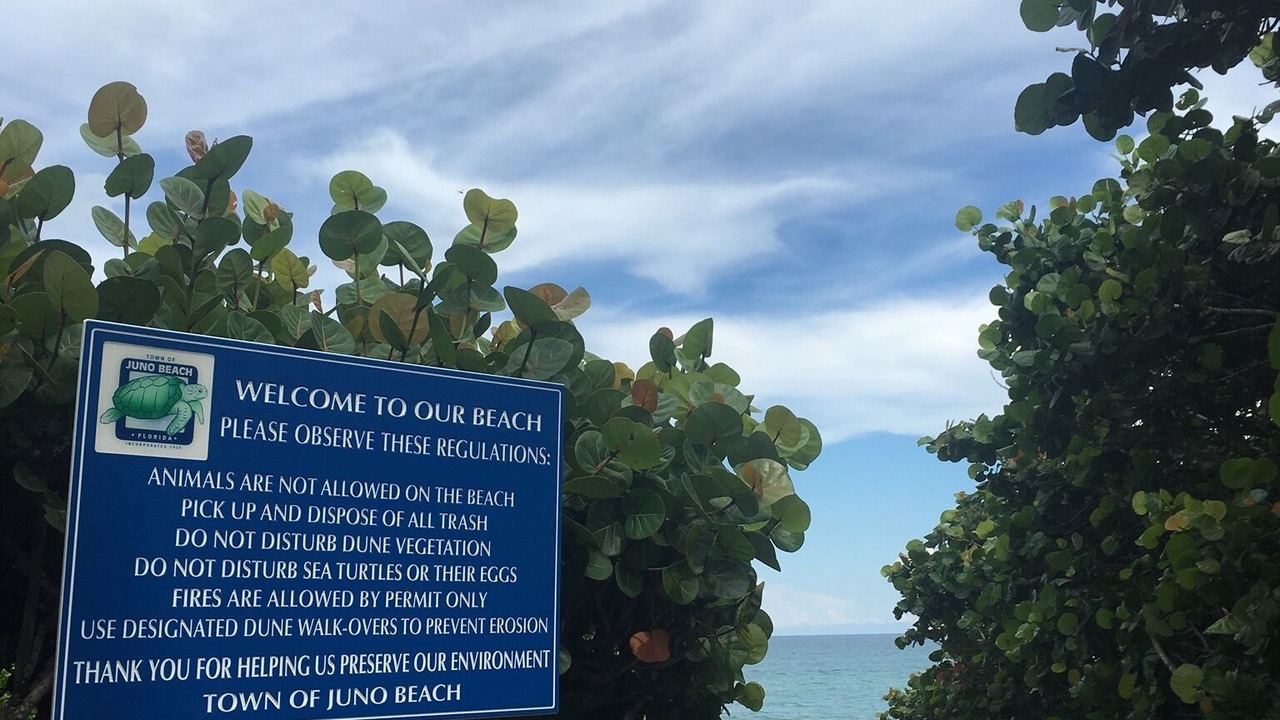 Photo of Outdoor in Juno Beach