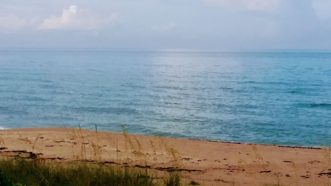 Photo of Others in Juno Beach