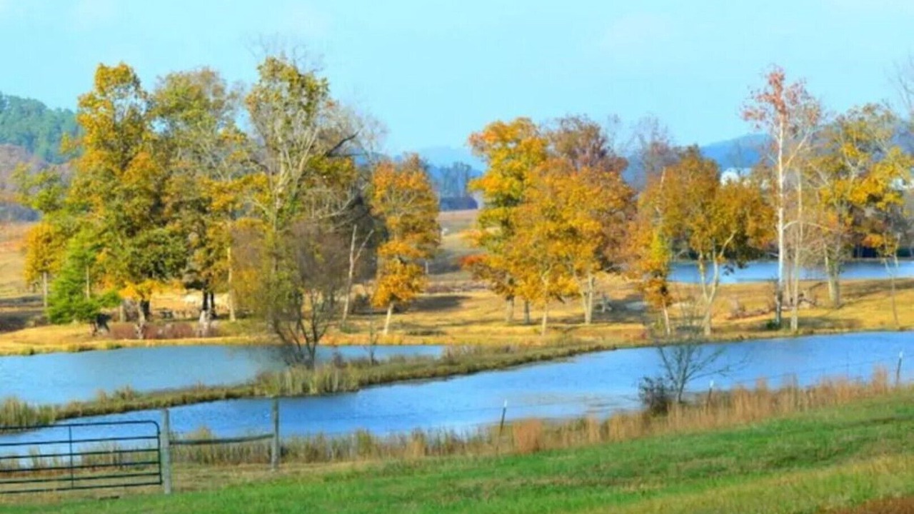 Photo of Others in Pine Ridge