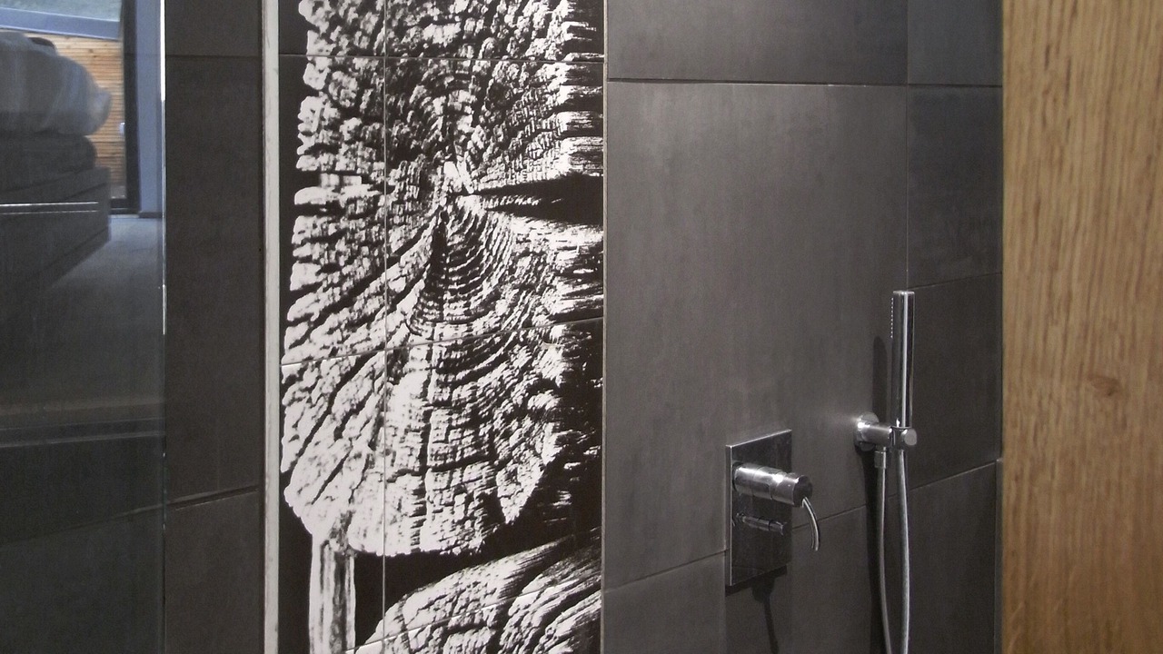 Photo of Bathroom in Villaroger