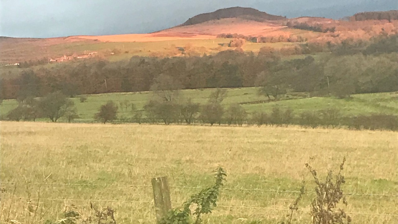 Photo of Others in Embsay