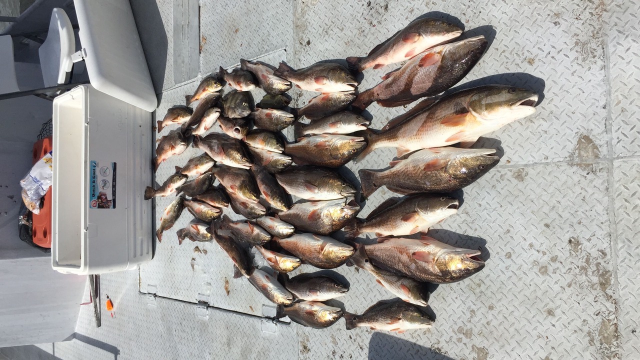 Photo of Outdoor in Lafitte