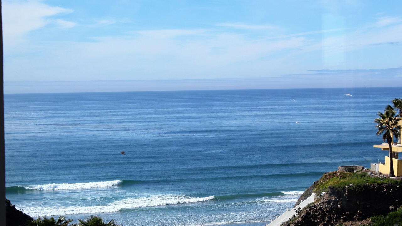 Photo of Others in Primo Tapia