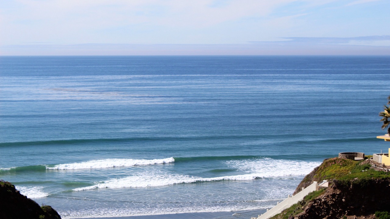 Photo of Others in Primo Tapia