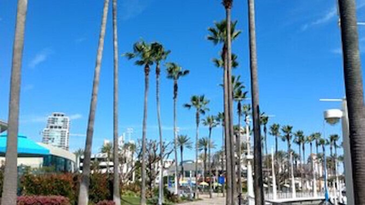 Photo of Others in Alamitos Beach