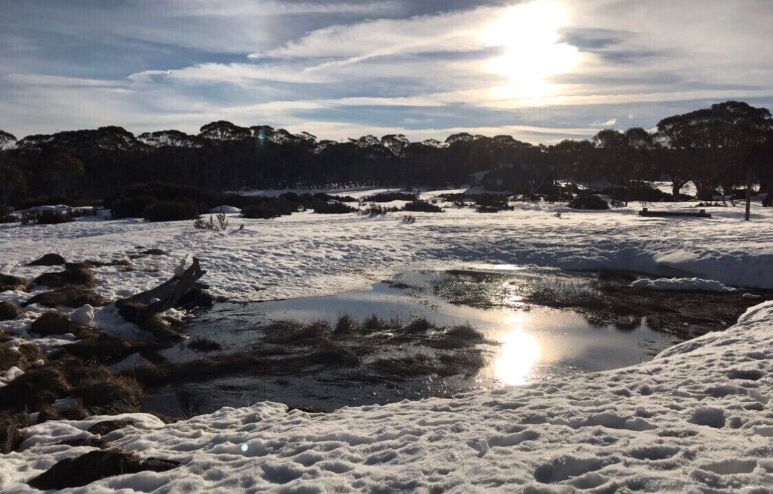 Photo of Others in Dinner Plain