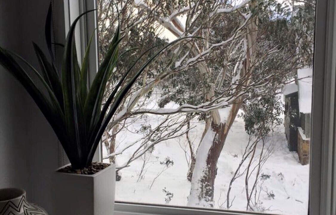 Photo of Others in Dinner Plain