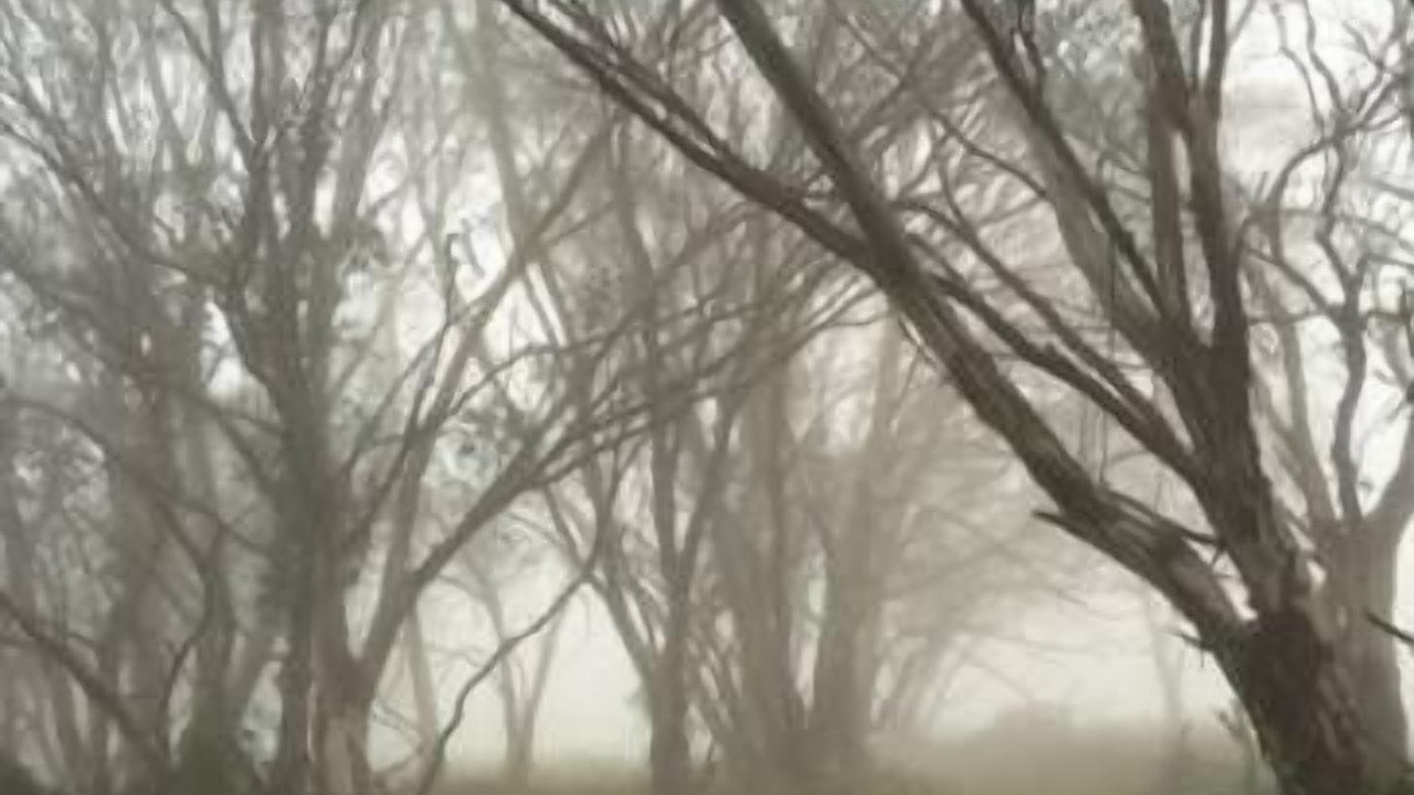 Photo of Outdoor in Dinner Plain