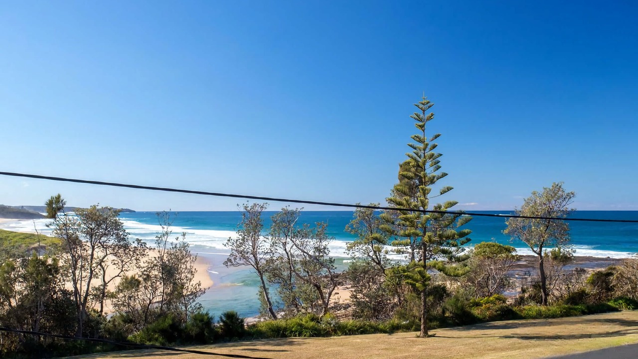 Photo of Others in Dolphin Point