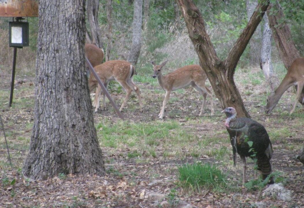 Photo of Outdoor in Crawford
