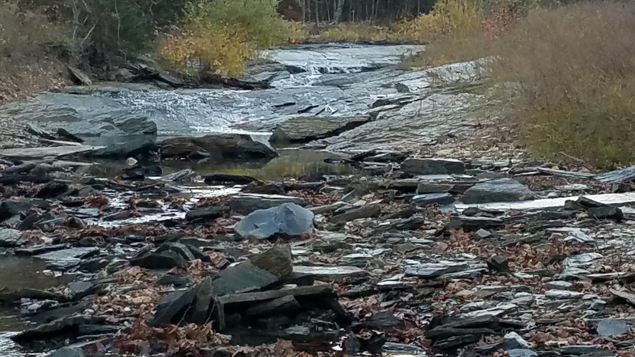 Photo of Outdoor in Hot Springs Village