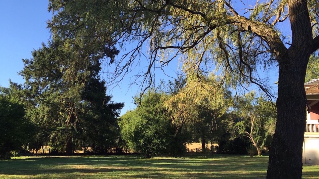 Photo of Outdoor in Vendat