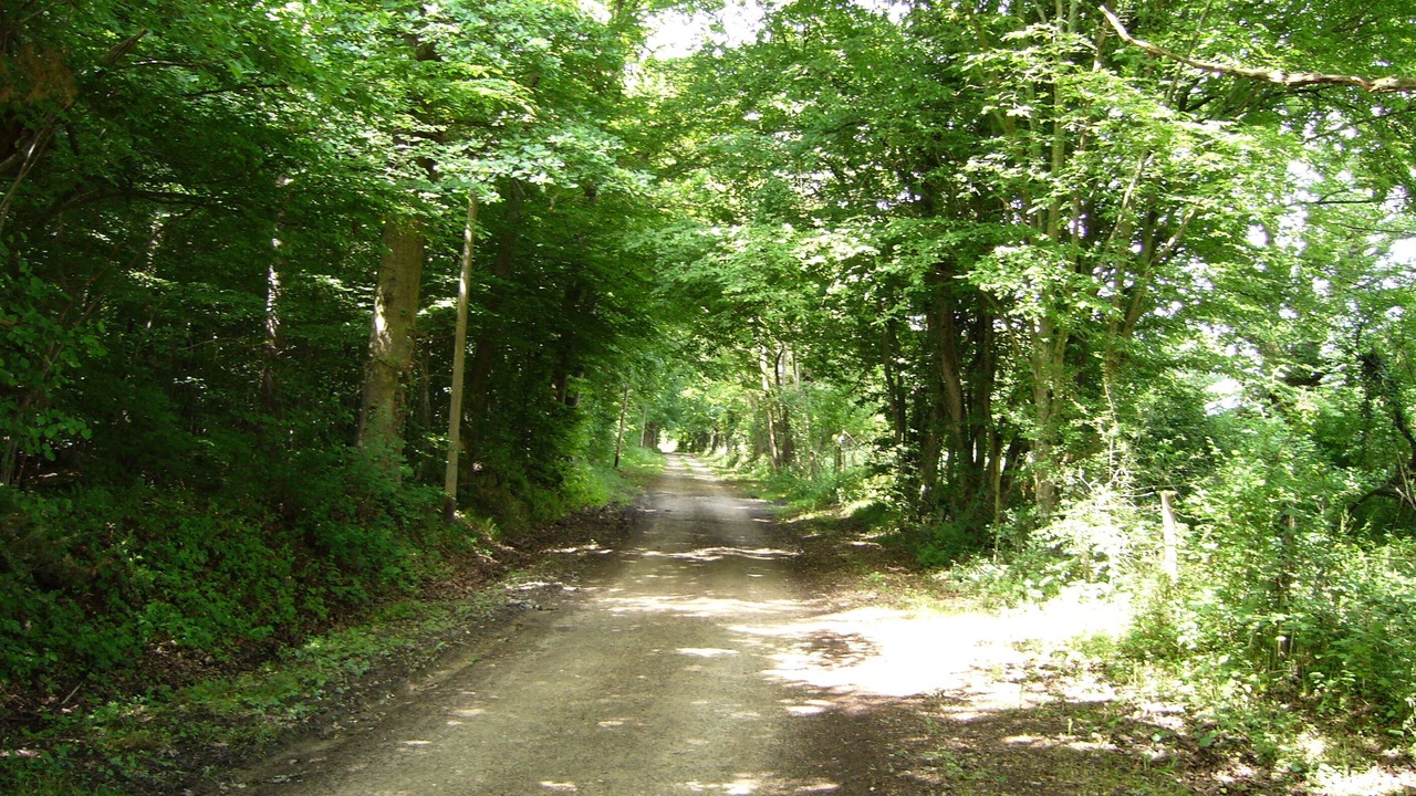 Photo of Outdoor in Vendat