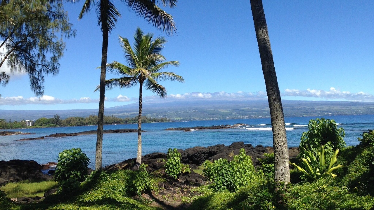 Photo of Others in Hilo