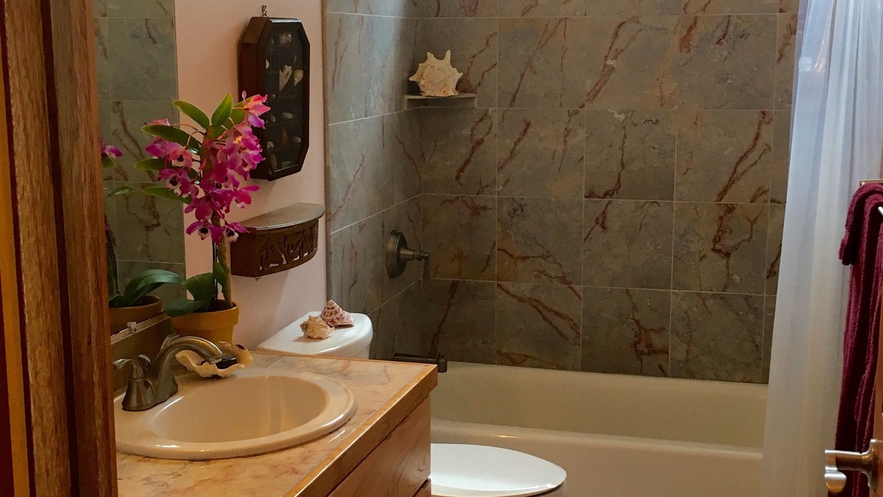 Photo of Bathroom in Hilo