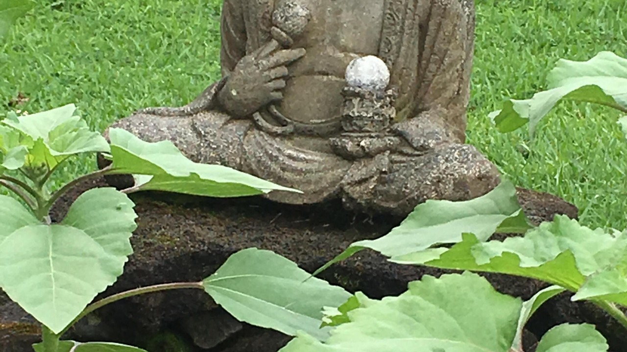 Photo of Outdoor in Hilo