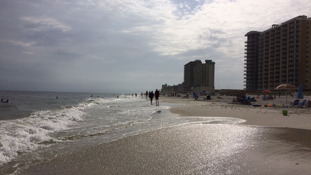 Photo of Others in Gulf Shores