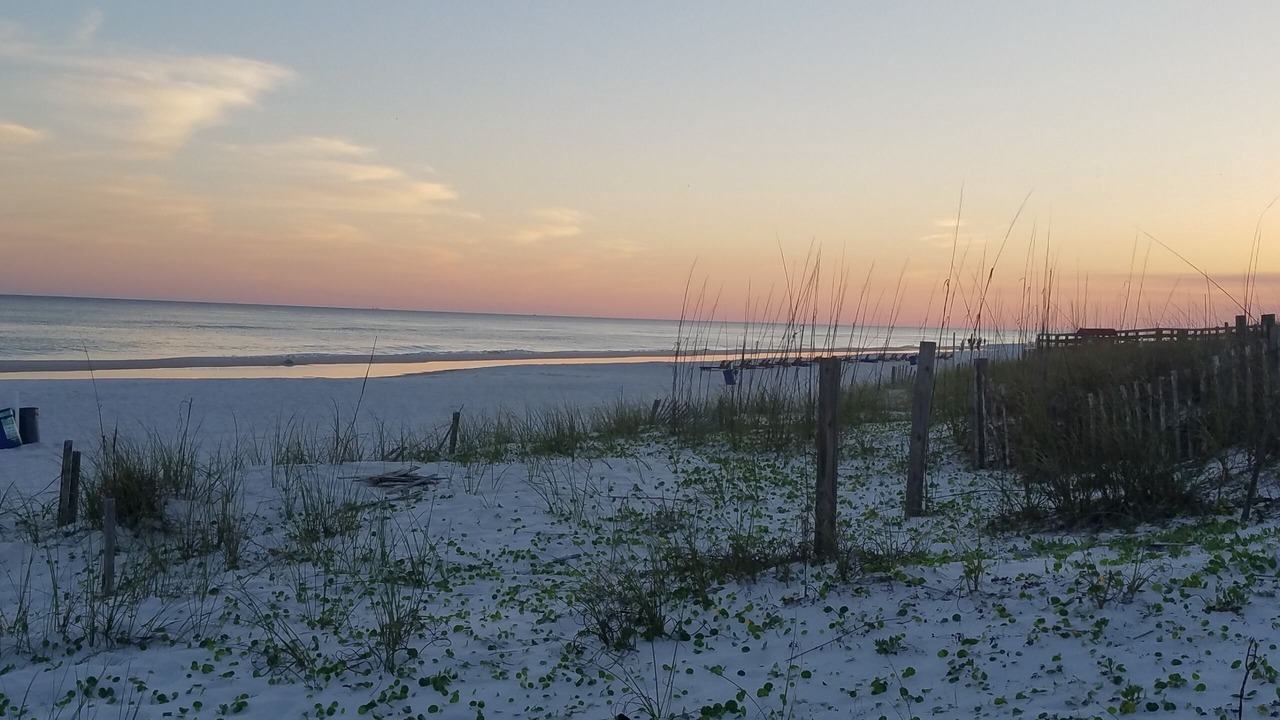 Photo of Others in Gulf Shores