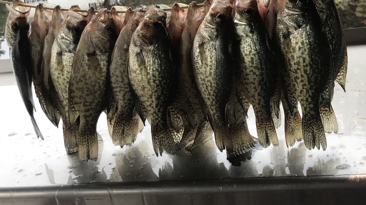 Photo of Others in Gulfport