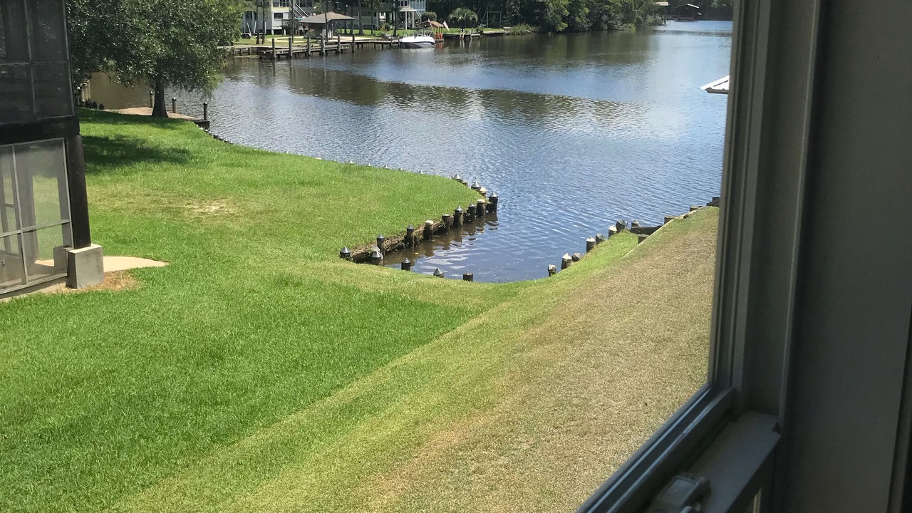 Photo of Others in Gulfport