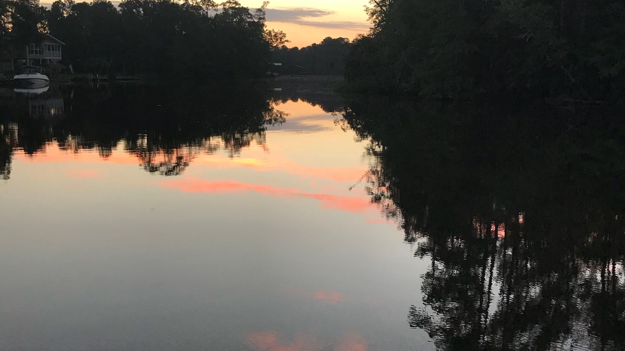 Photo of Others in Gulfport