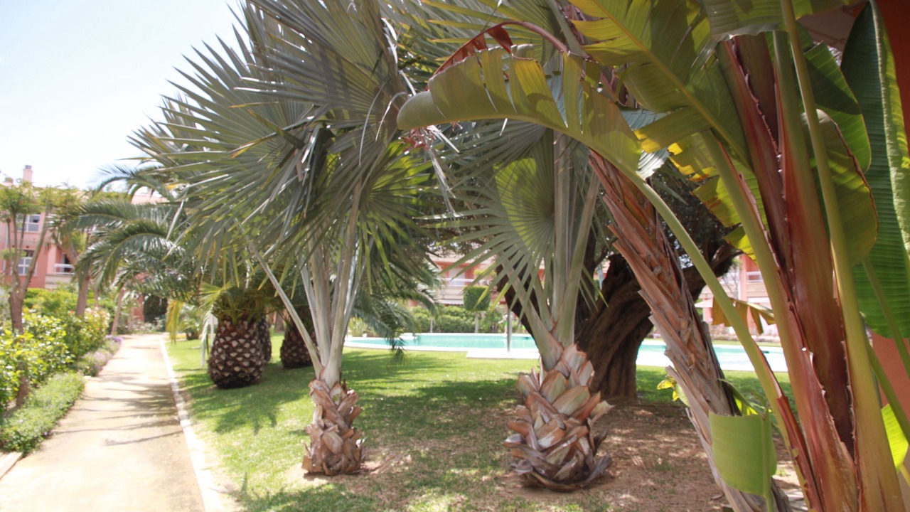 Photo of Outdoor in Javea