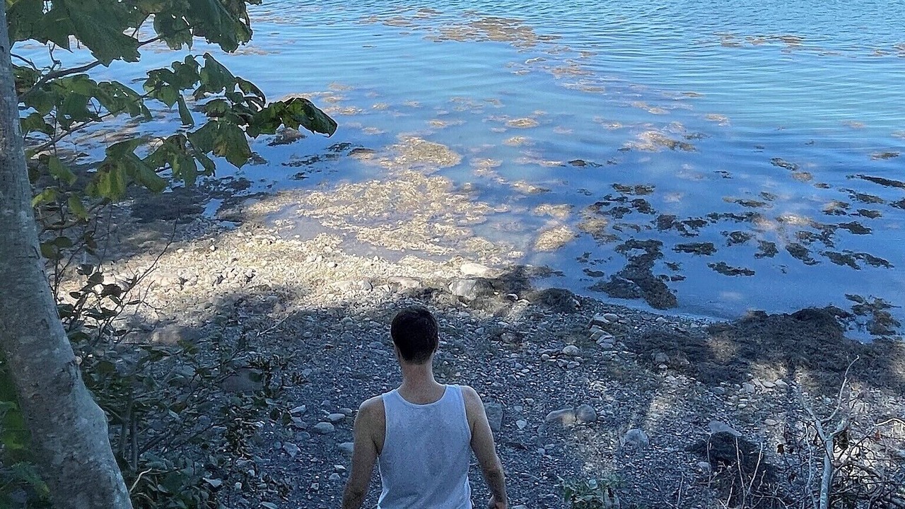 Photo of Others in Lubec