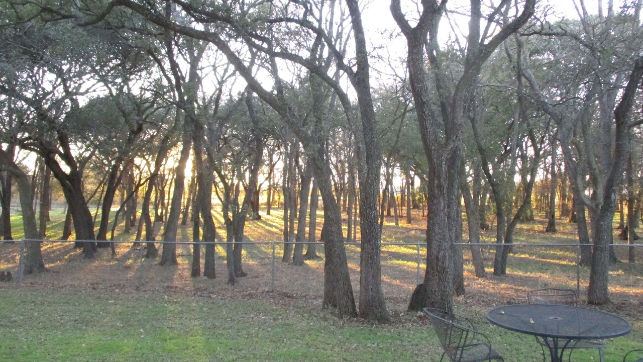 Photo of Others in San Leanna