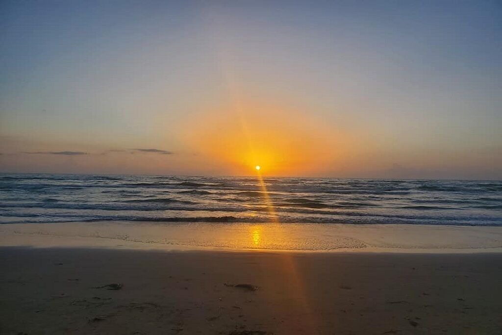 Photo of Others in South Padre Island