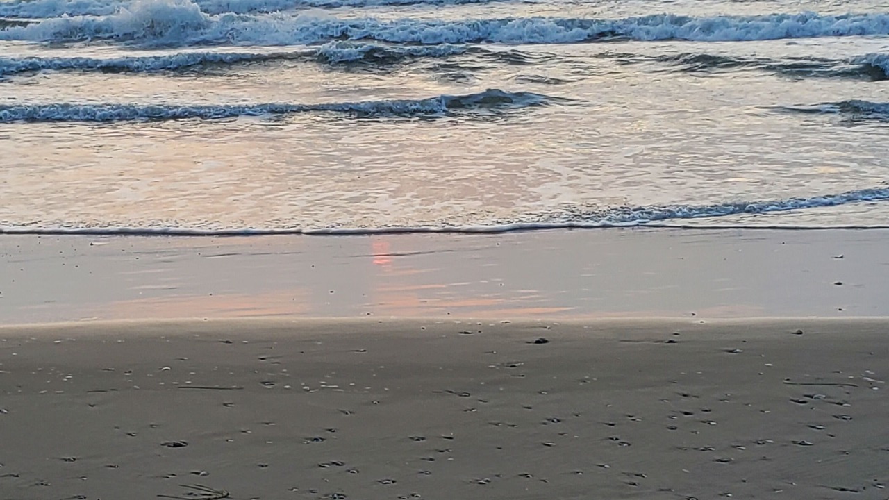 Photo of Others in South Padre Island