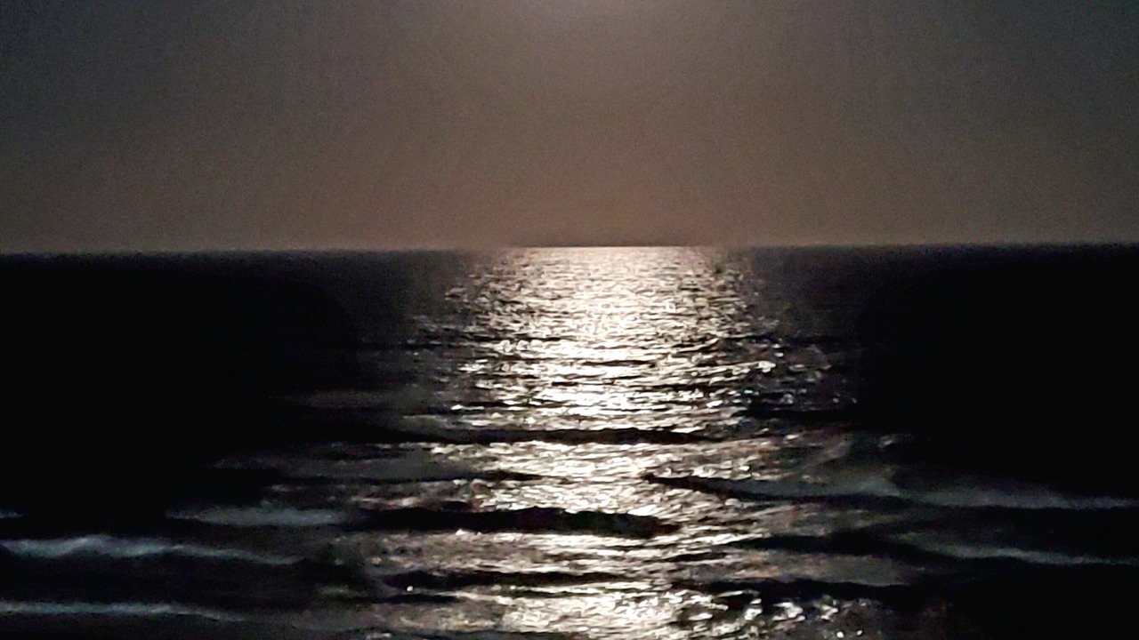 Photo of Others in South Padre Island