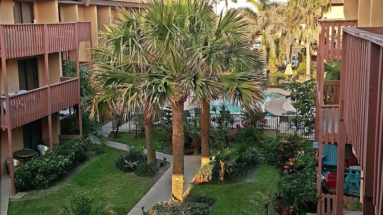 Photo of Outdoor in South Padre Island