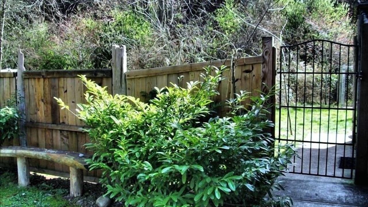 Photo of Others in Port Angeles