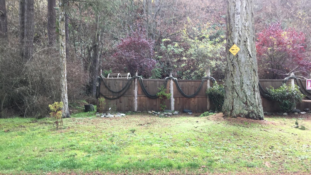 Photo of Others in Port Angeles