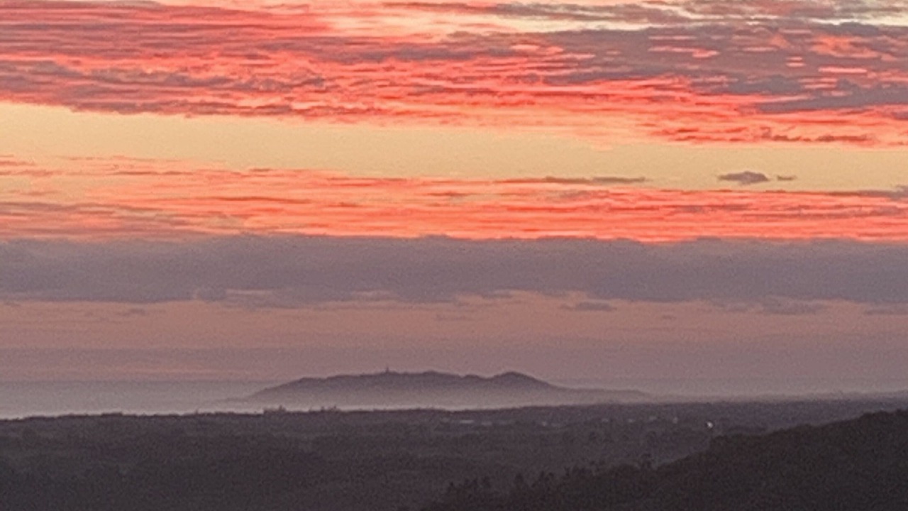 Photo of Others in Coorabell