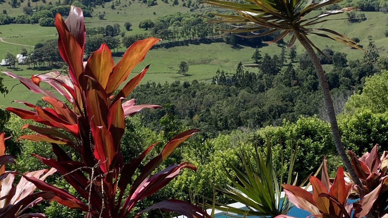 Photo of Outdoor in Coorabell