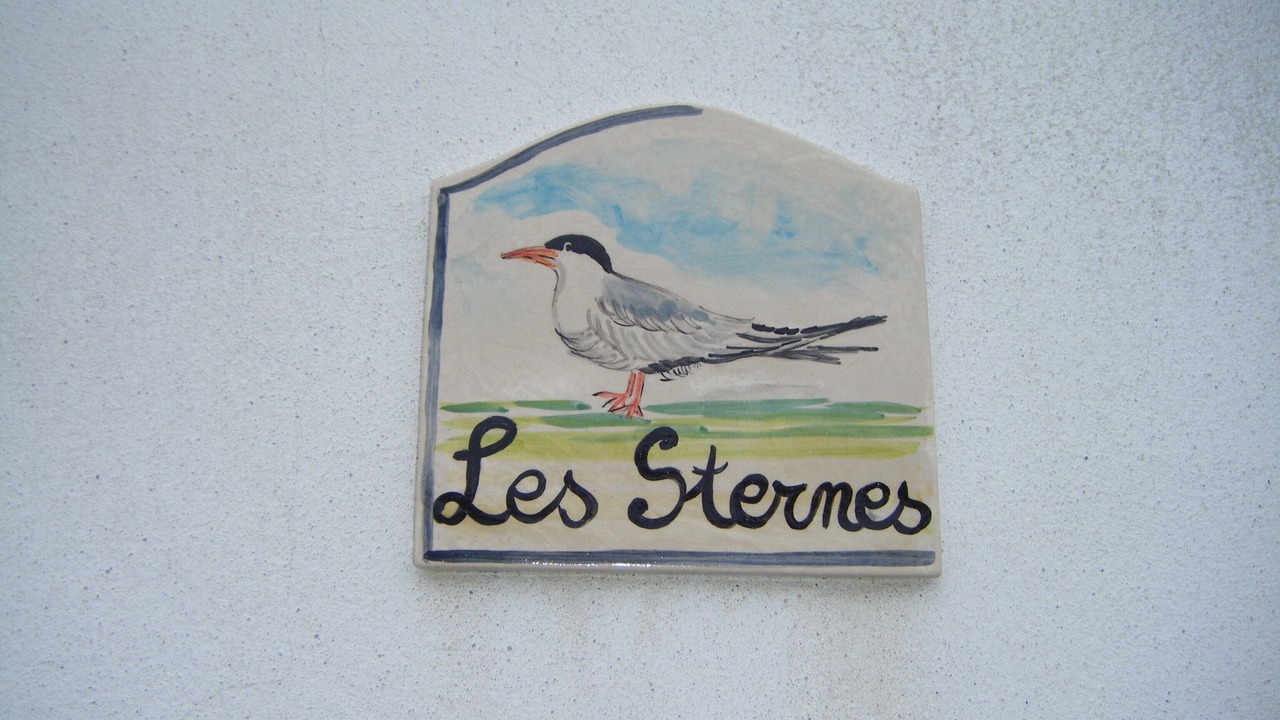Photo of Others in Saint-Pierre-d'Oleron