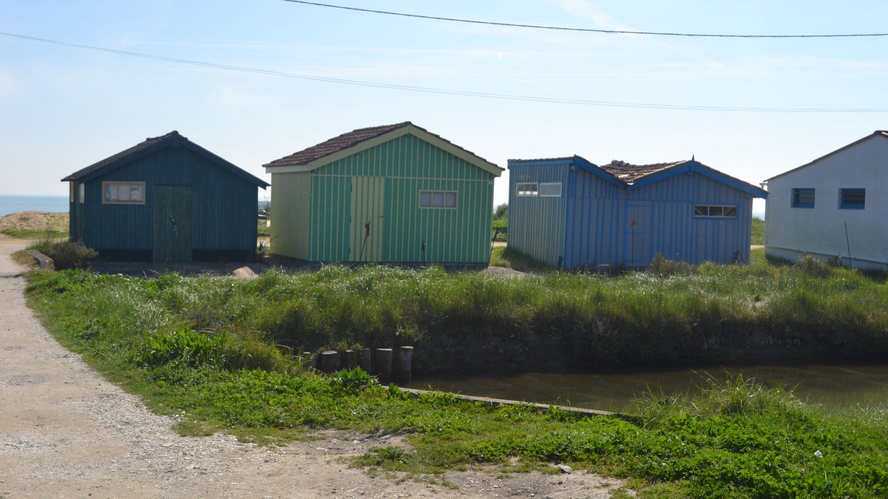 Photo of Outdoor in Saint-Pierre-d'Oleron