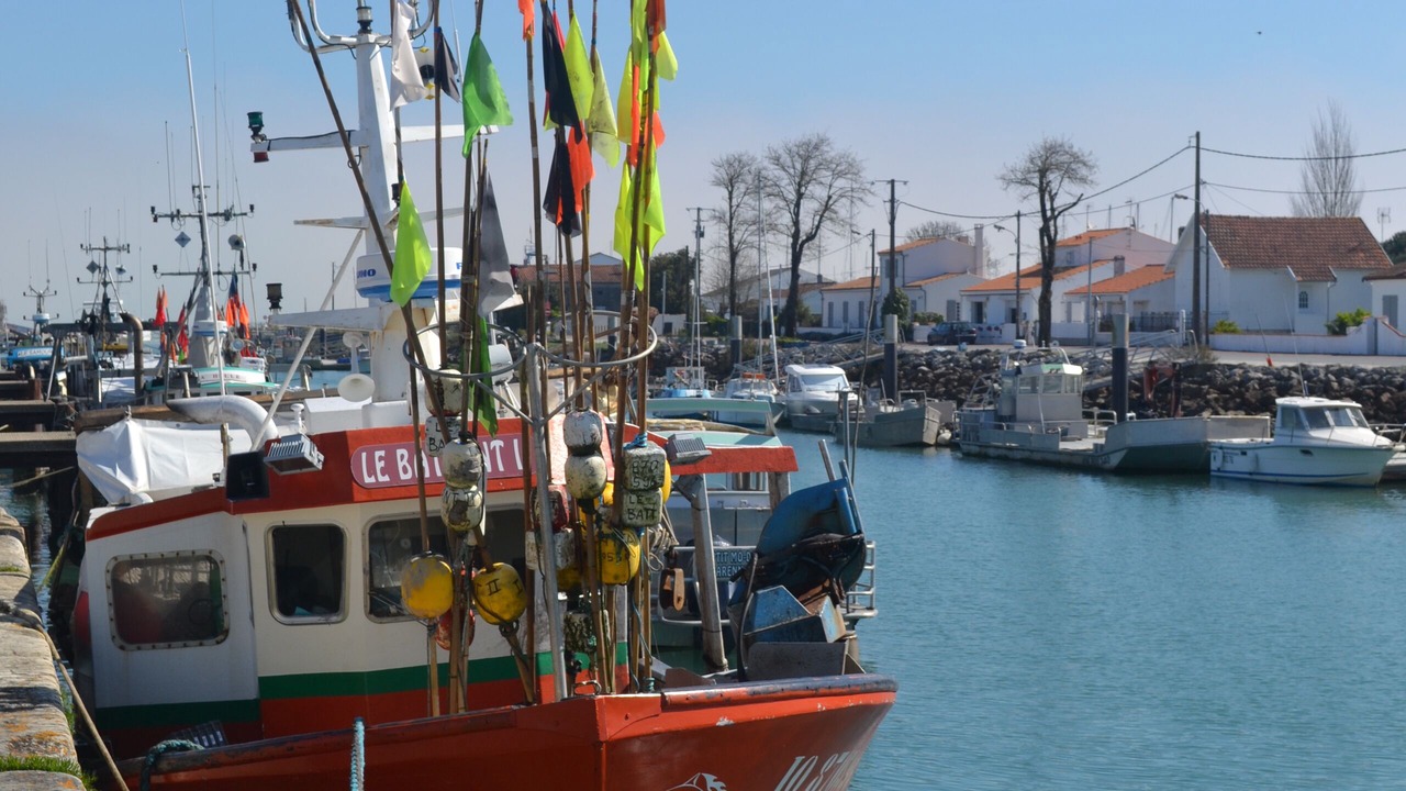 Photo of Others in Saint-Pierre-d'Oleron