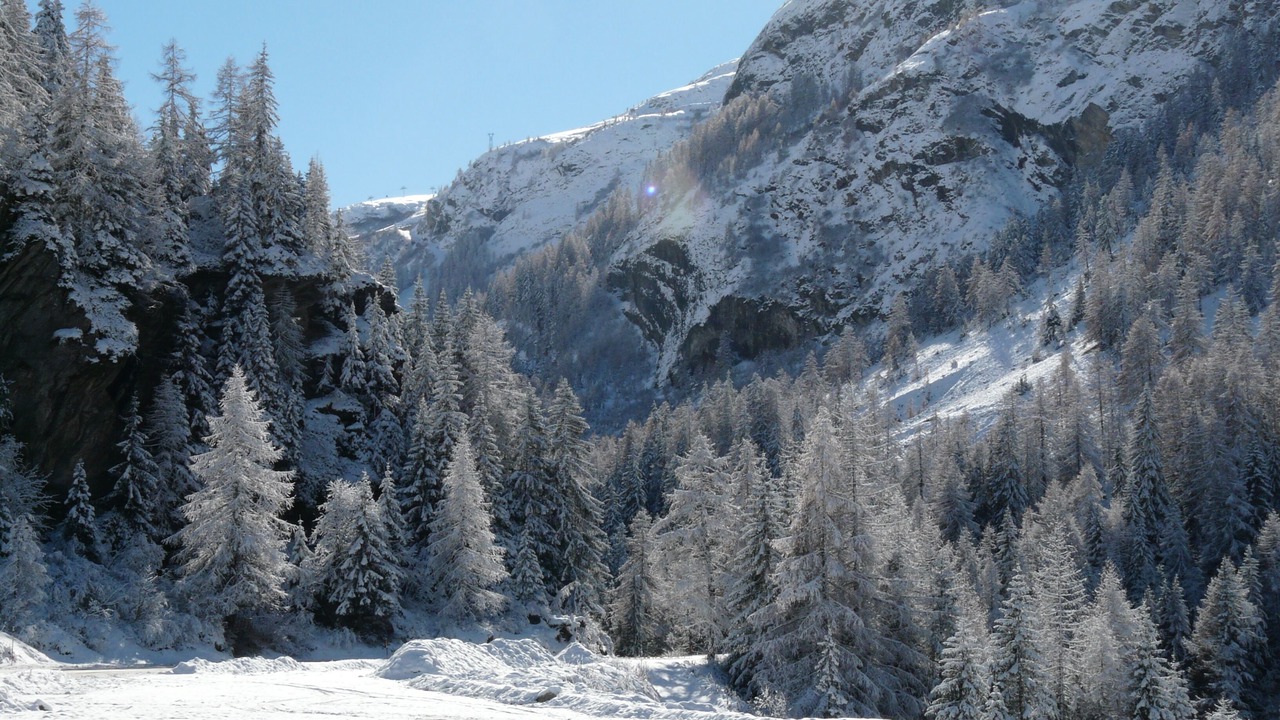 Photo of Others in Les Brevieres