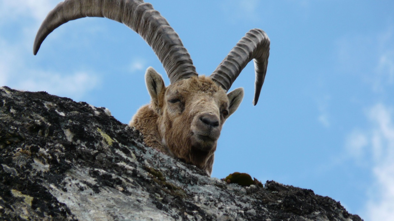 Photo of Outdoor in Les Brevieres