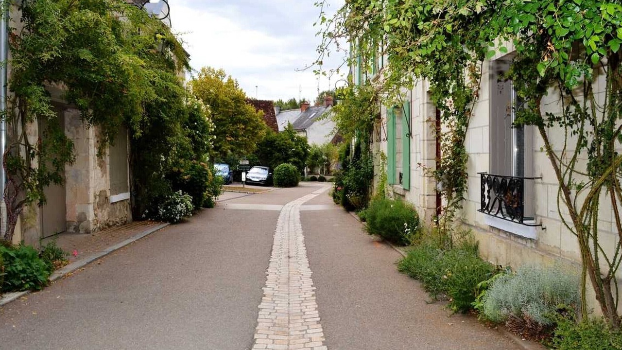 Photo of Outdoor in Chedigny