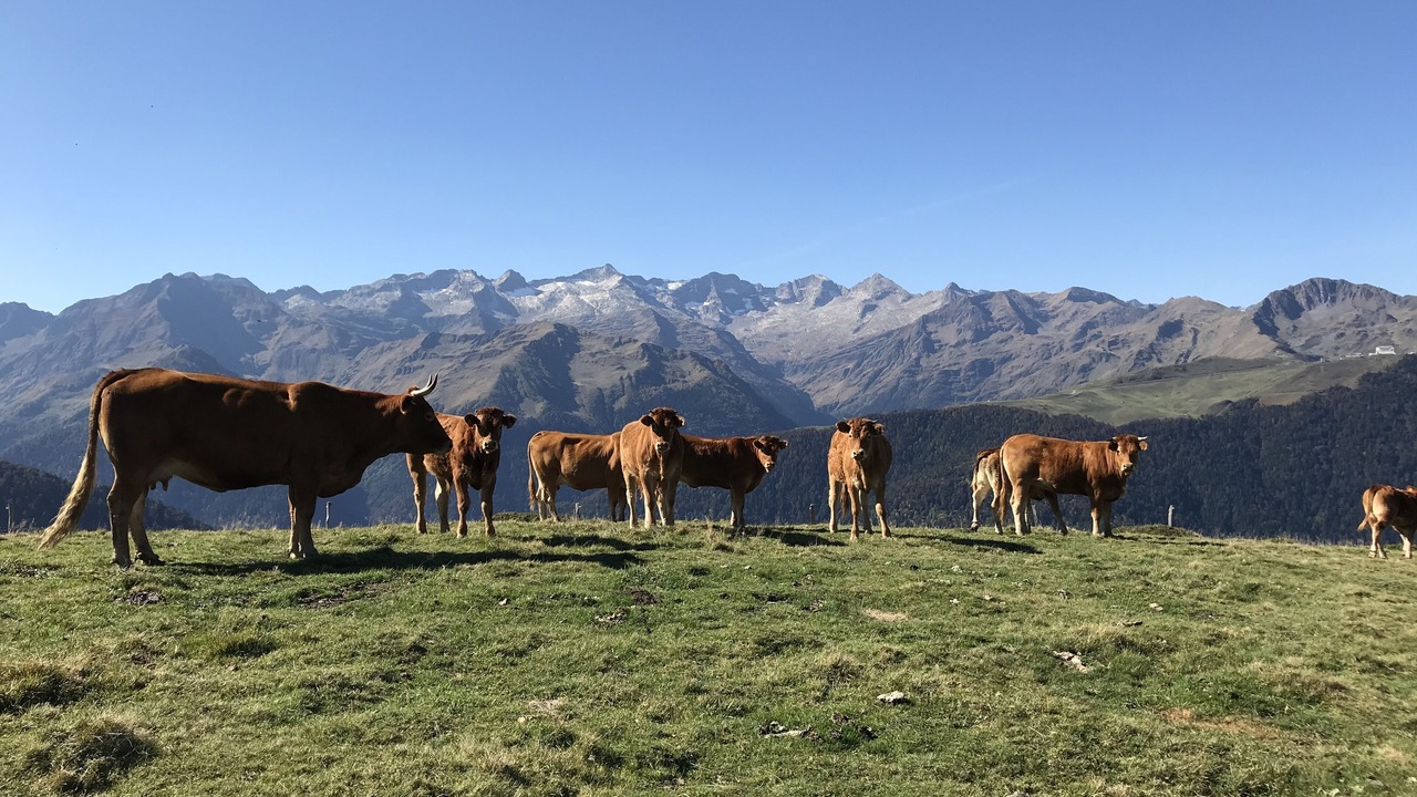 Photo of Outdoor in Montauban-de-Luchon