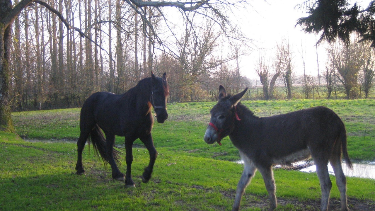 Photo of Outdoor in Tigny-Noyelle