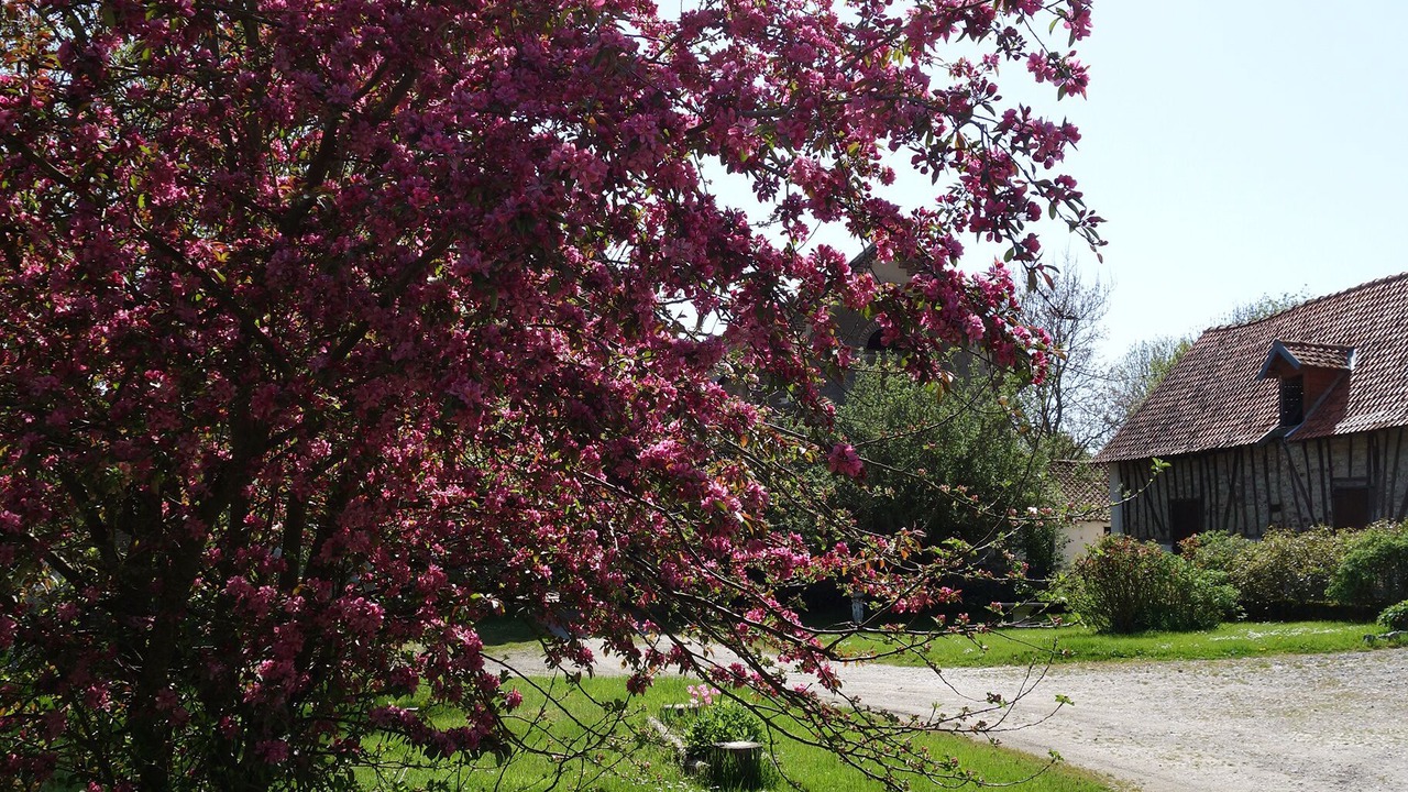 Photo of Outdoor in Tigny-Noyelle