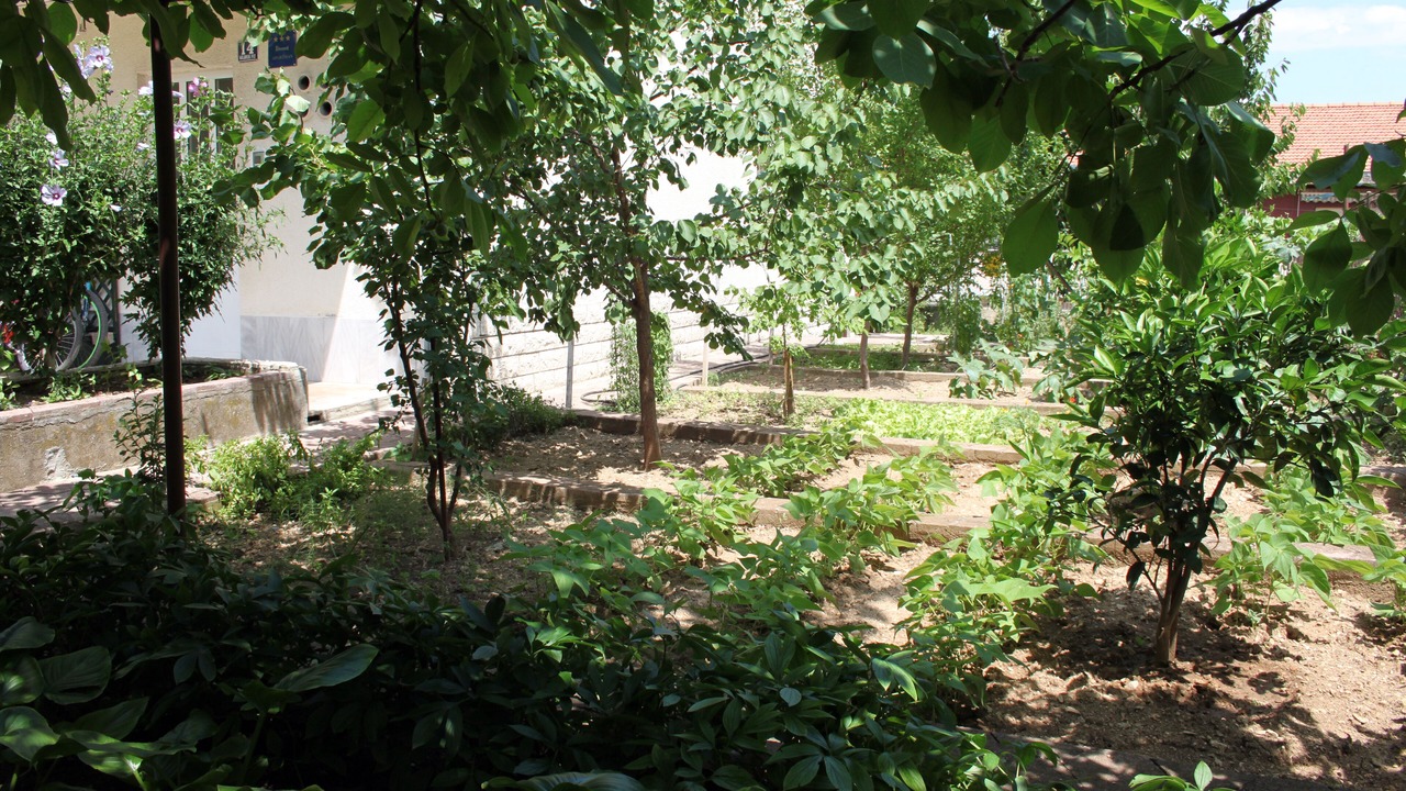 Photo of Outdoor in Split