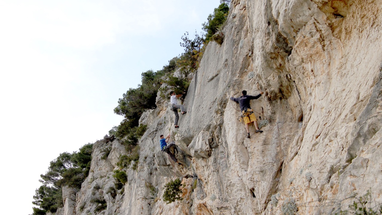 Photo of Others in Split