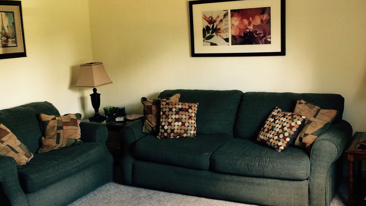 Photo of Livingroom in Gap Mills