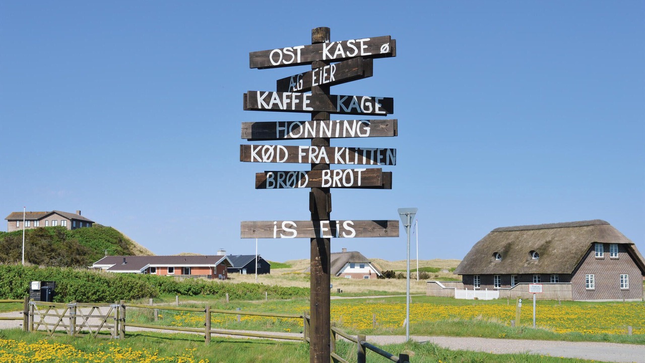 Photo of Others in Lodbjerg Hede