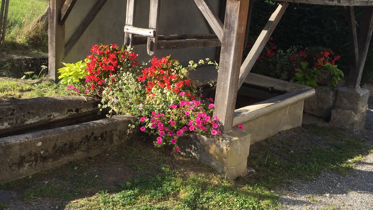 Photo of Outdoor in Massat